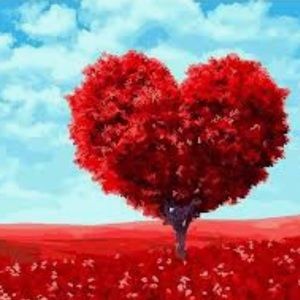 Don't forget to bundle!